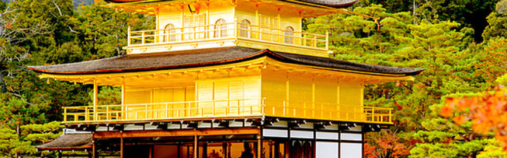 カテゴリー７の記事タイトルカテゴリー７の記事タイトルカテゴリー７の記事タイトルカテゴリー７の記事タイトル